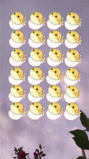 Puffer fish challenge ... #pauseshorts #lifestyle #pufferfish