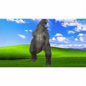 Interior Crocodile Alligator