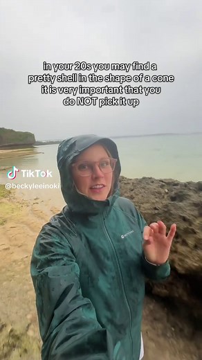 the prettier the shell the scarier 😅 ⚠️ storytime posted #coneshell #shelling #beachcombing #tidepool