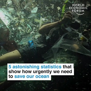 571K views · 1.3K reactions | A call to action.  Learn more about the biggest threats to our oceans: https://wef.ch/2M3reU5 | World Economic Forum | Facebook