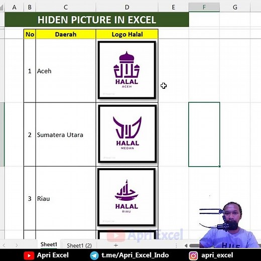 Hidden Picture In Excel