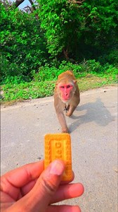 Jai bajrangbali __ 🙏 🚩#reels