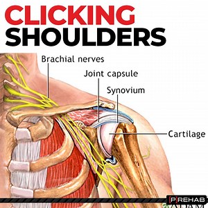 17K views · 369 reactions | CLICKING SHOULDERS [SHOULDER STABILITY]⁣...