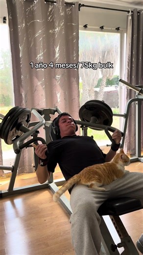 IG:andresfitt125/TT:anderfitt4.0.7 #fitness #motivation #gym #viral #anderfitt #motivacion #gymtok