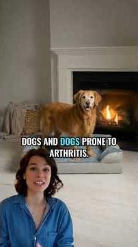 If Your Dog Weighs 60+ Pounds, Watch This Before Buying Another Dog Bed