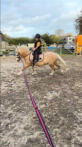 Girls now wanting to learn to canter on the little pocket rocket 🚀 #equestrianjourney