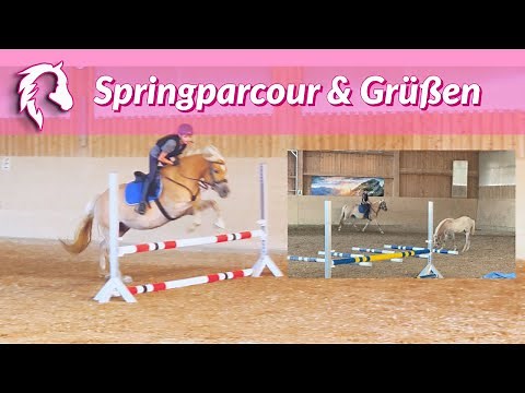 Parcour Springen mit Haflinger Schnuppi und Grüßen!