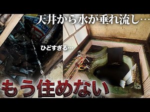 The leaks in the ruins are terrible. A cute intruder has appeared【Day 108】