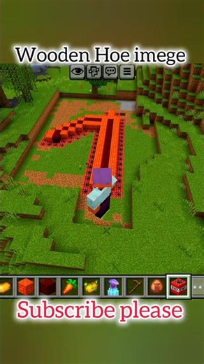 Wooden Hoe imege in Minecraft gameplay support please 🥺 #shorts #minecraft #shanigemarzz #geming