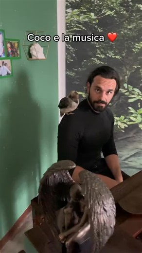 3.5K views · 99 reactions | Prova il nostro IA agent al +393928534531...