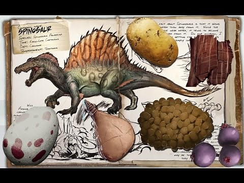 kibble de spino - como hacer pienso de spino