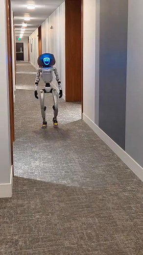 Tinder bot shows up at your door. Smash or pass 🤖 #tinder #robot #bot #netflix | FuN Rizbotz