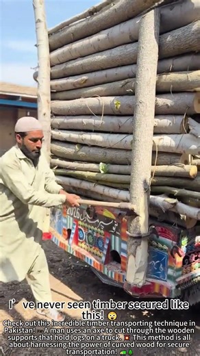 Pakistan's Hardcore Timber Transporting Technique 💪🌲