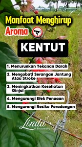 Manfaat Menghirup Aroma KENTUT Bagi Kesehataan... 😱⁉️ #tips #tipsdantricks #tipssehat #info #infosehat #sehat #kesehatan #lifehacks #healthylife #viral #manfaatkentut #kentut | Linda Heniwaty