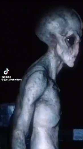 Beyondthe Radar on Instagram: "Still one of the most compelling alien encounters ever caught on camera. This footage shows a man allegedly making direct contact with what appears to be a grey alien. The original source remains unknown, and it’s rumored to have been leaked from classified files. If anyone has more details or background on this video, send me a DM. Follow @beyondtheradar for more rare footage and unexplained phenomena."