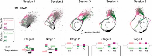 Mapmaking in the mind: new research details how the brain builds mental maps of the world