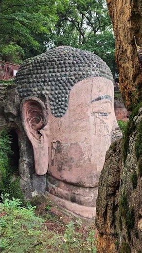 樂山大佛，71米巨佛靜坐三江口！千年風雨未蝕其威嚴，髮髻18層暗藏排水玄機，衣紋如水波流動～乘船仰望震撼值拉滿，登棧道摸佛頭更是步步高昇的儀式感！來四川，不只看佛，是和歷史對視✨ #旅行推薦
