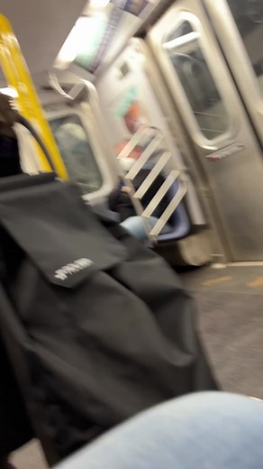 Everyday Commuter Struggles on the NYC Subway