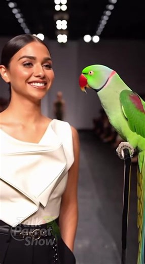 👠🦜 Runway Parrot DEMANDS Spotlight — Savage Fashion Punchline 😂 Backstage at a high-fashion runway, this Alexandrine Parakeet steals the show with a couture-level punchline 😂🔥 Clean, classy, and pure 2026 comedy. #TalkParrotShow #FunnyParrot #ParrotComedy #FashionRunway #ViralShorts #ComedyGold #LaughOutLoud #AlexandrineParakeet #8KVideo #FashionComedy #CreatorLife