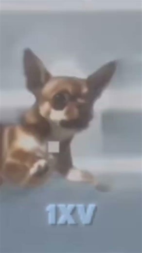 yo quiero taco bell #edit #yosoydelos7mil #dubstep