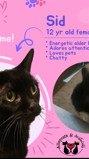 22 reactions · 7 comments |  Today’s Sunday Spotlight is Sid! ...