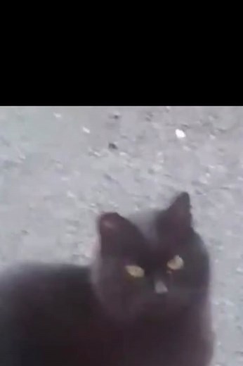 #eamon #eamonplease #biarritz #france #phillip