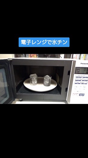 電子レンジで氷をチン🐢🐢#科学 #理科 #TikTok教室 #理科の実験 #自由研究 #身近な科学 #電子レンジ