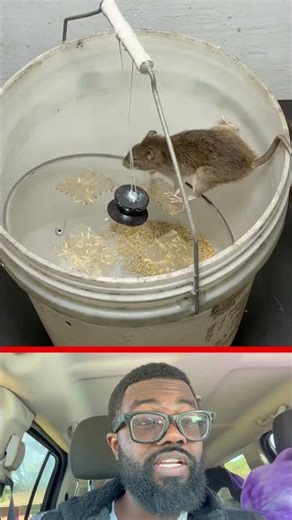 Genius DIY Rat Trap Hack 🐀🔥