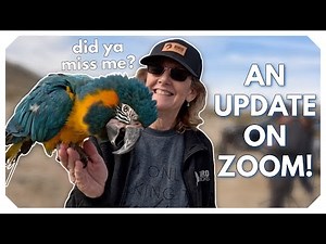 Zoom The Macaw’s First Flight Trip With His New Mom! 💙