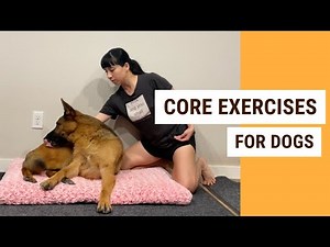 4 Simple Canine Conditioning Exercises to Build Core Strength in Your Dog