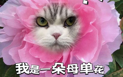 百度网盘下载教程