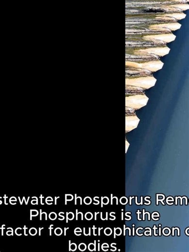 phosphorus removal from Waste Water
