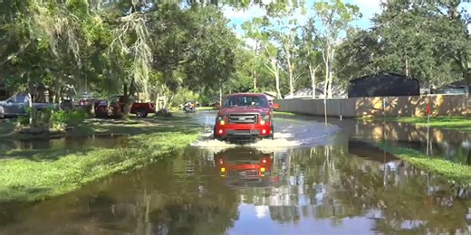 'We got gators in our backyard': Floridians still plagued with floodwaters one week after Milton