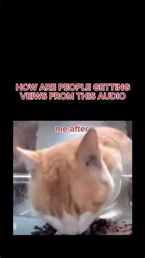 Does it really work? #shorts #viral #audio