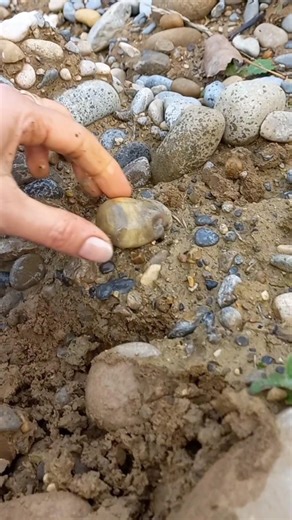 #hunting #agate #nature