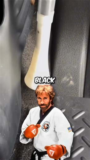 Chuck Norris Facts 🤣❤😎 #chucknorrisfacts #chucknorris #viralreelsfb | Chuck Jokes