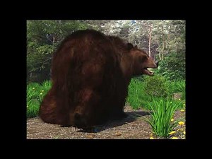 Bear's belly 2 - Belly loop animation