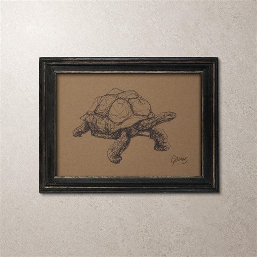 Original Tortoise Artwork – Not a Print. Minimalist Pen and Ink Giant Galapagos Tortoise Sketch (5"x7"). Unframed - Etsy