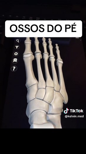 Anatomia dos Ossos do Pé: Uma Revisão Completa