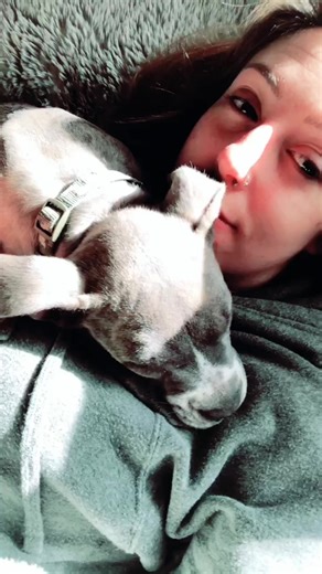 It’s morning nap time, and Floki is a solid sleeper and the biggest cuddle bug. #pitbull #pibble #foryoupge