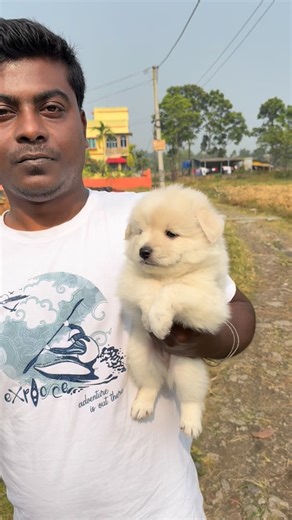 Diganta on Instagram: "German Spitz Puppy 🐶 #dog"