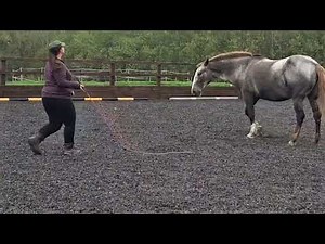Deanna and Skyla-Parelli Liberty Level 4 Audition