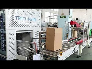 Fully Automatic Plastic cup counting packing machine and case erector