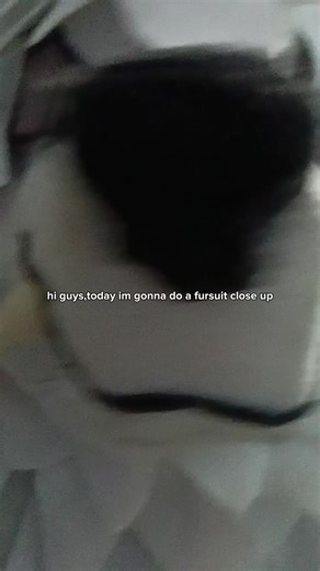 Amazing Fursuit Close-Up Experience