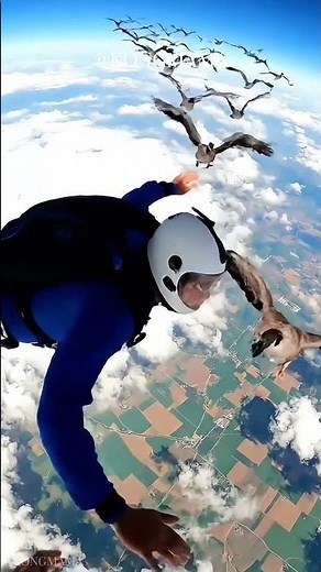 Flying With Migrating Geese During Freefall – Nature's Most Beautiful Moment #extremenature