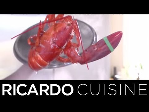 Comment cuire un homard