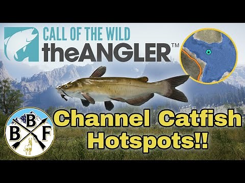 Hotspot Guide: Channel Catfish - Plus Hook Size, Bait and Lure!! | Call of the Wild: theAngler