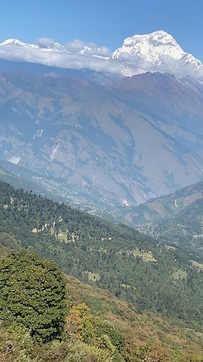 Beautiful Himalayan views from Thapla Danda (3,165 m) — where the magnificent Dhaulagiri and Annapurna mountain ranges stand tall above the lush green forests and peaceful villages of Myagdi district. The scenery from this point on the Ghorepani–Poon Hill trail is calm, wide, and truly unforgettable. Continuing the journey toward Tadapani, Ghandruk, and the Annapurna Base Camp route, the trail offers quiet rhododendron forests and stunning mountain landscapes at every step. A wonderful Himalayan