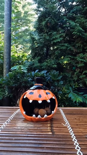 Happy Halloween!  #squirrel #hallowoon #squirrelsofinstagram | My Backyard Squirrel | Facebook