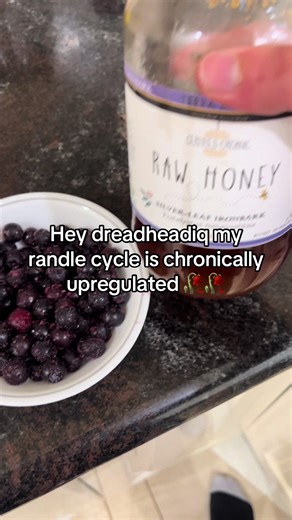 Understanding Primal Diet and Nature's Influence